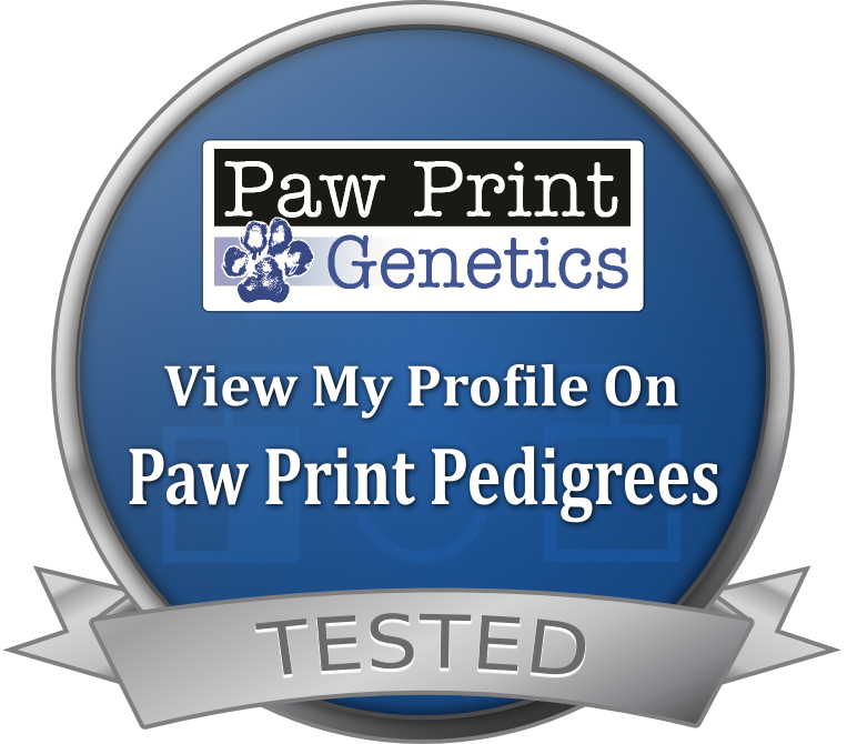 Paw Print Pedigrees Dog
                           Seal